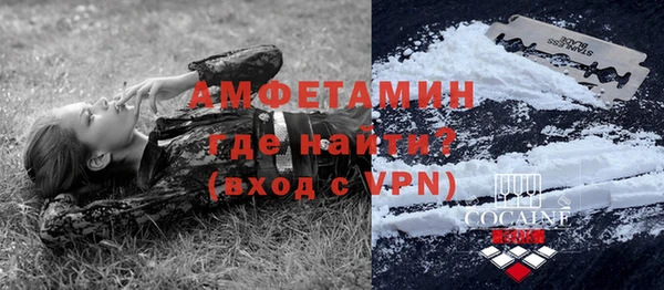 молекула духа Ростов