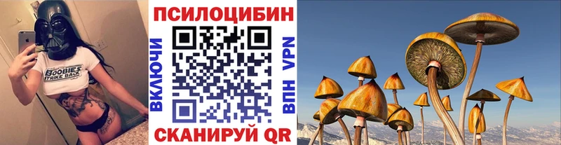 купить наркотики цена  Ленинградская  Галлюциногенные грибы ЛСД 